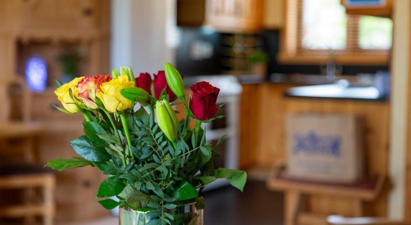 Scandinavian Village Ltd