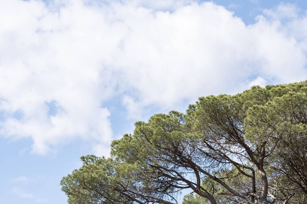 La Bastide du Mourre