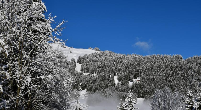 Chalet Orlando Rhône-Alpes - Les Gets visuel 4/5