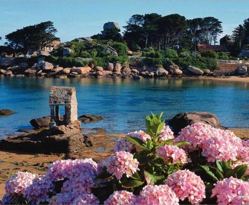 West Camping Lower Normandy - Perrou visuel 4/5