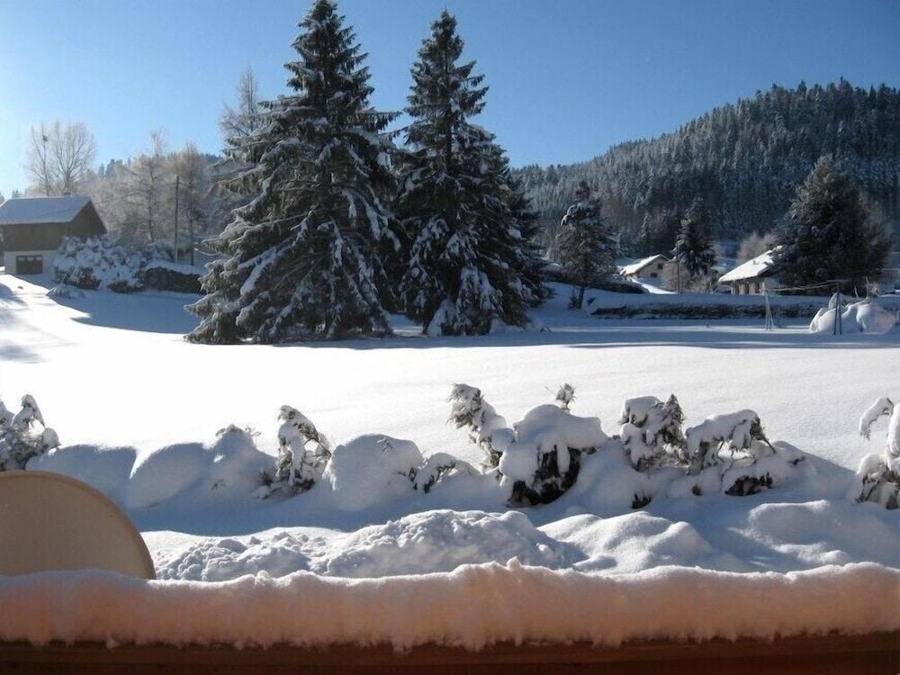 Detached chalet 7 minutes away from Gerardmer Lotharingen - Le Tholy visuel 3/5 Detached chalet 7 minutes away from Gerardmer Lotharingen - Le Tholy visuel 3/5