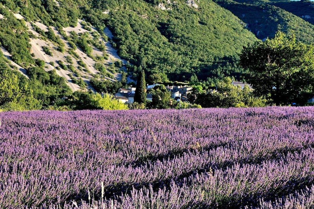 In the heart of the Grand Luberon, independent gite, beautiful swimming pool, calm Provence-Alpes-Côte d'Azur - Apt visuel 3/5 In the heart of the Grand Luberon, independent gite, beautiful swimming pool, calm Provence-Alpes-Côte d'Azur - Apt visuel 3/5