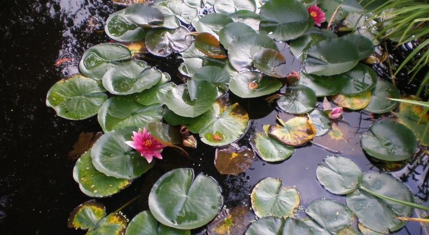 Romantic Studio Vacances Alsace - Labaroche visuel 2/5