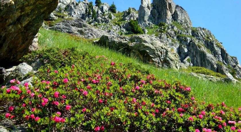 Auberge La Douce Montagne Rhône-Alpes - Allemond visuel 3/5