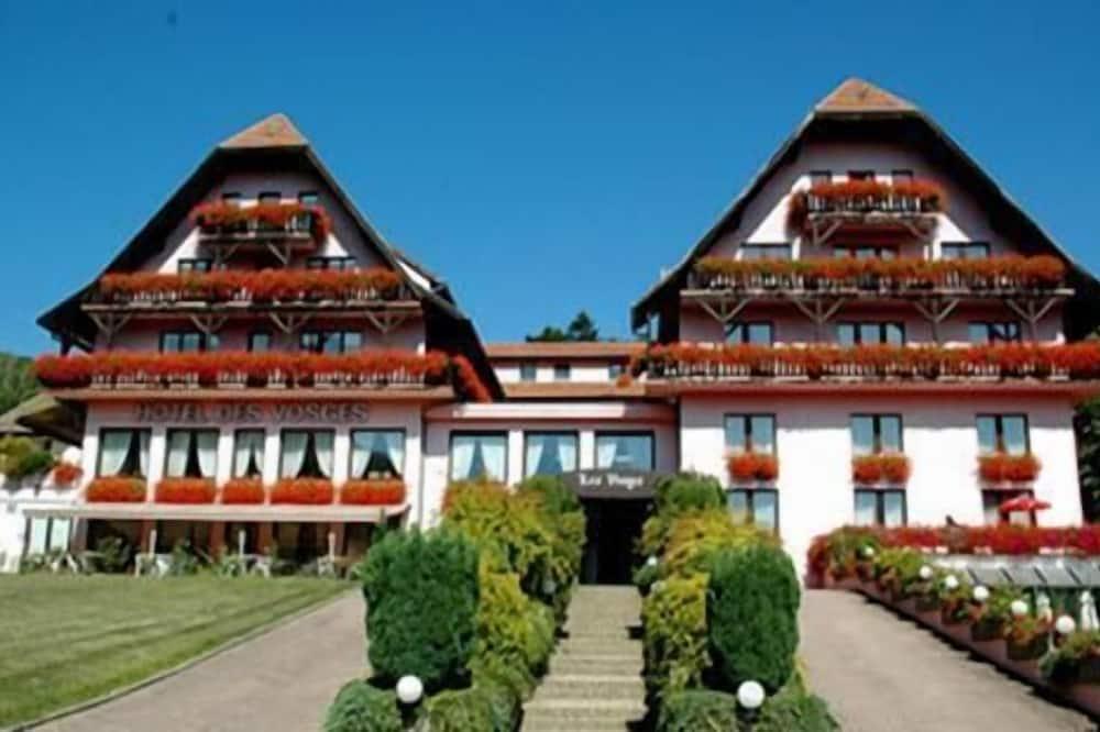 Hotel des Vosges Elzas - Klingenthal visuel 4/5 Hotel des Vosges Elzas - Klingenthal visuel 4/5