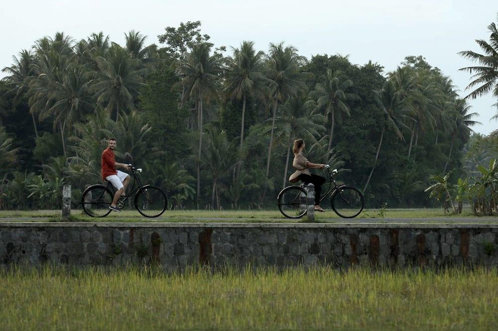 expedia_group-613696-260820504-729019 Plataran Borobudur