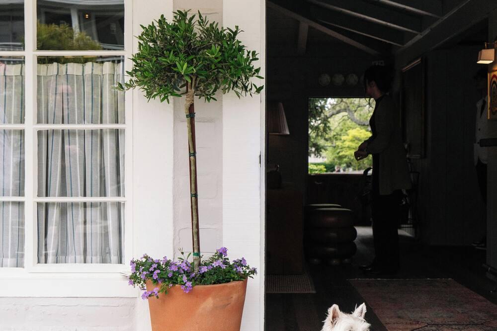 Le Petit Pali at Ocean Ave