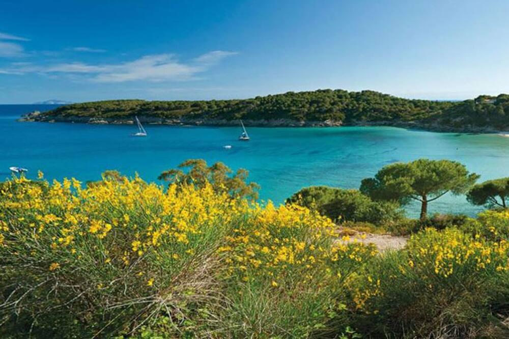 Uappala Club & Resort Lacona Toscane - Lacona visuel 5/5