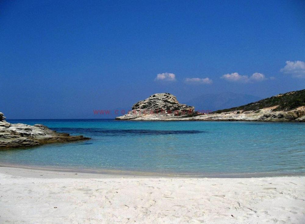 Center Corse, T2 Moltifao Corsica - Moltifao visuel 5/5