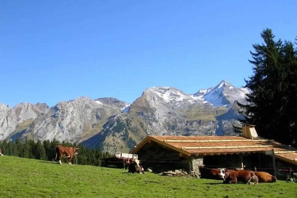 Comfortable Savoyard chalet Ski lifts 500 m away and free bus 30 m - Rhône-Alpes - La Clusaz visuel 3/5 Comfortable Savoyard chalet Ski lifts 500 m away and free bus 30 m - Rhône-Alpes - La Clusaz visuel 3/5