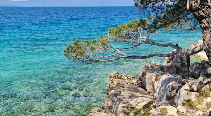 Boutique Resort Osma - Adults Only