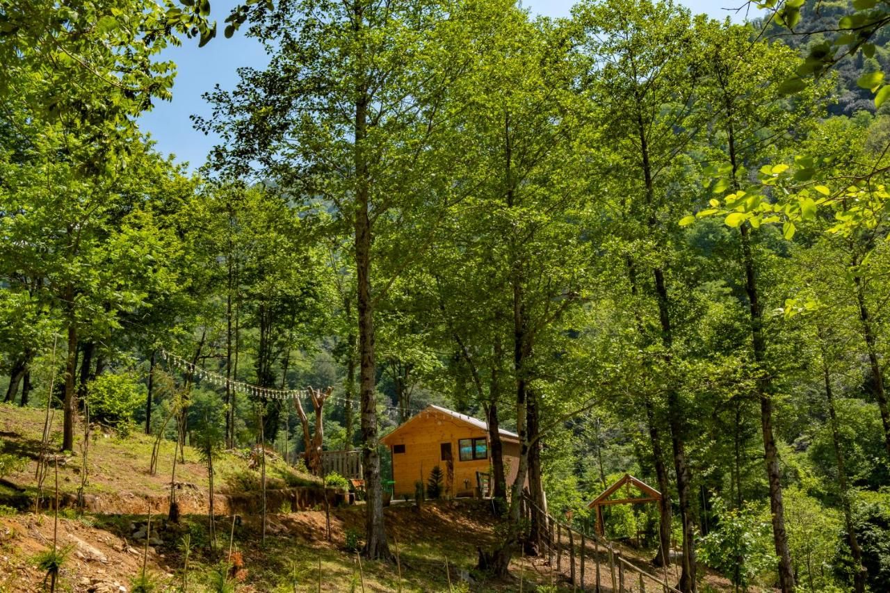 Skydoorცისკარი