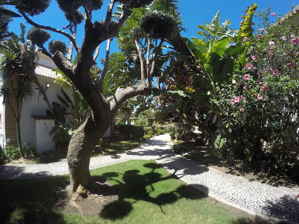sembo-289390-626318-531958 Luzmar Villas
