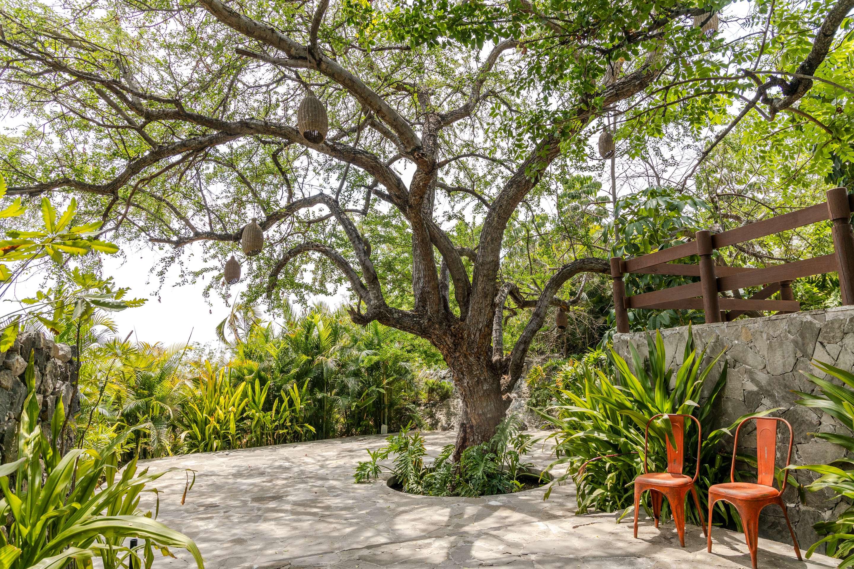 ice-2767994-e4e75f-060859 Soul Spring Sanctuary