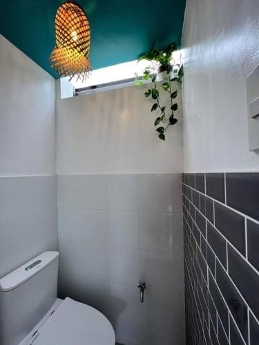 11th Earth Farm and Resort