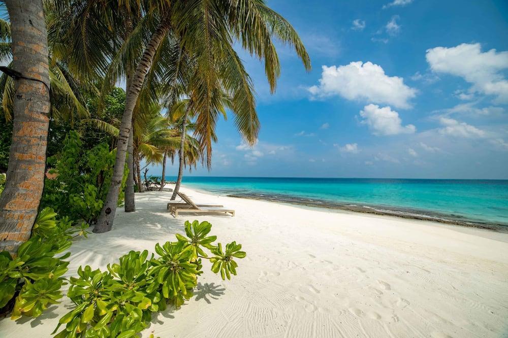 expedia_group-1070009250-130443155-944240 Fiyavalhu Resort Maldives