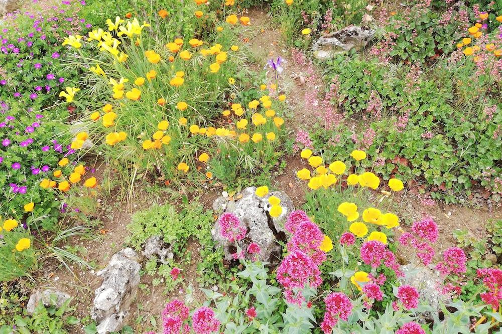 Villa 100m2 with enclosed garden planted with trees close to the city center Provence-Alpes-Côte d'Azur - Vaison-la-Romaine visuel 4/5 Villa 100m2 with enclosed garden planted with trees close to the city center Provence-Alpes-Côte d'Azur - Vaison-la-Romaine visuel 4/5