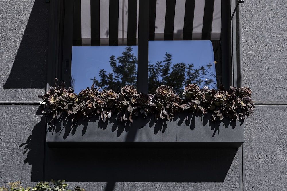 The Modernist Athens