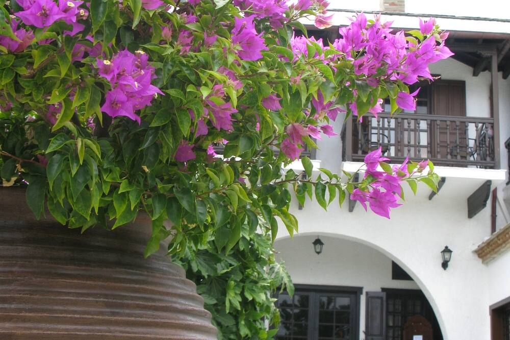 Hotel Prince Stafilos