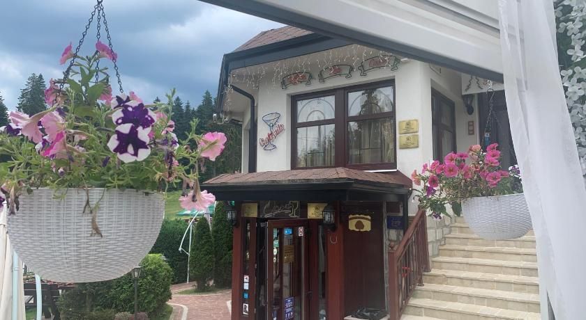 Alpin Borovets, Алпин Боровец