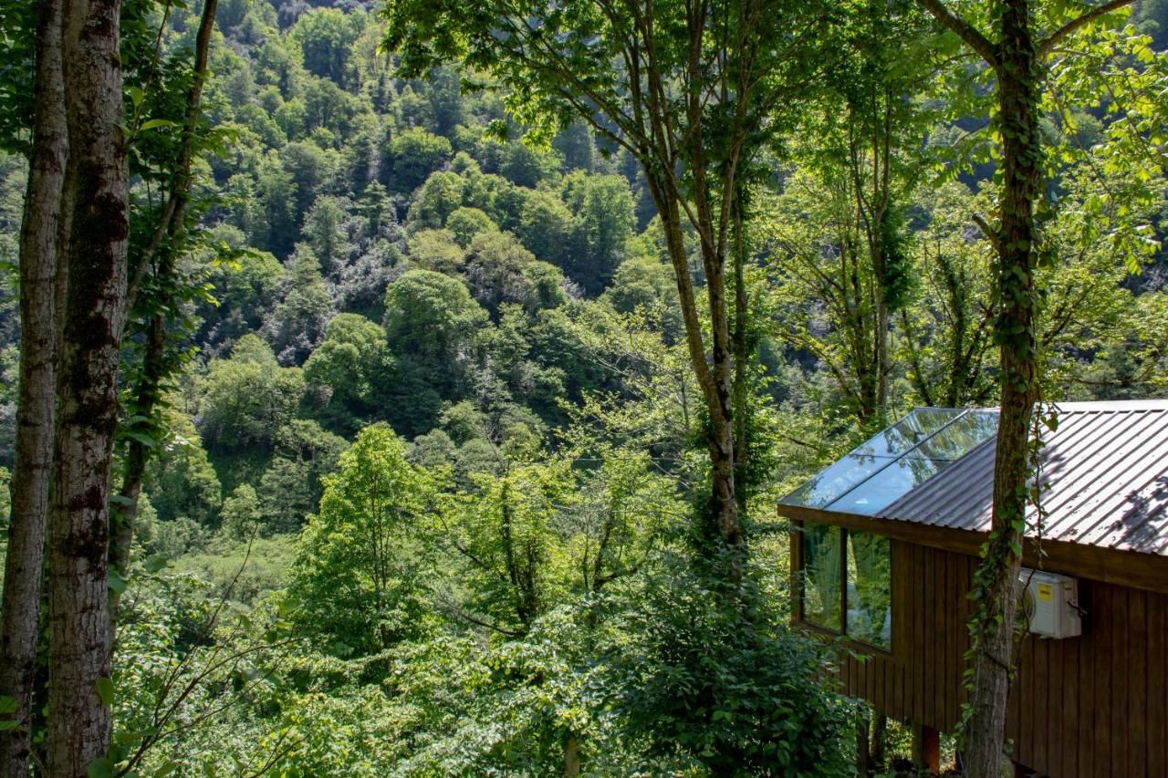 Skydoorცისკარი