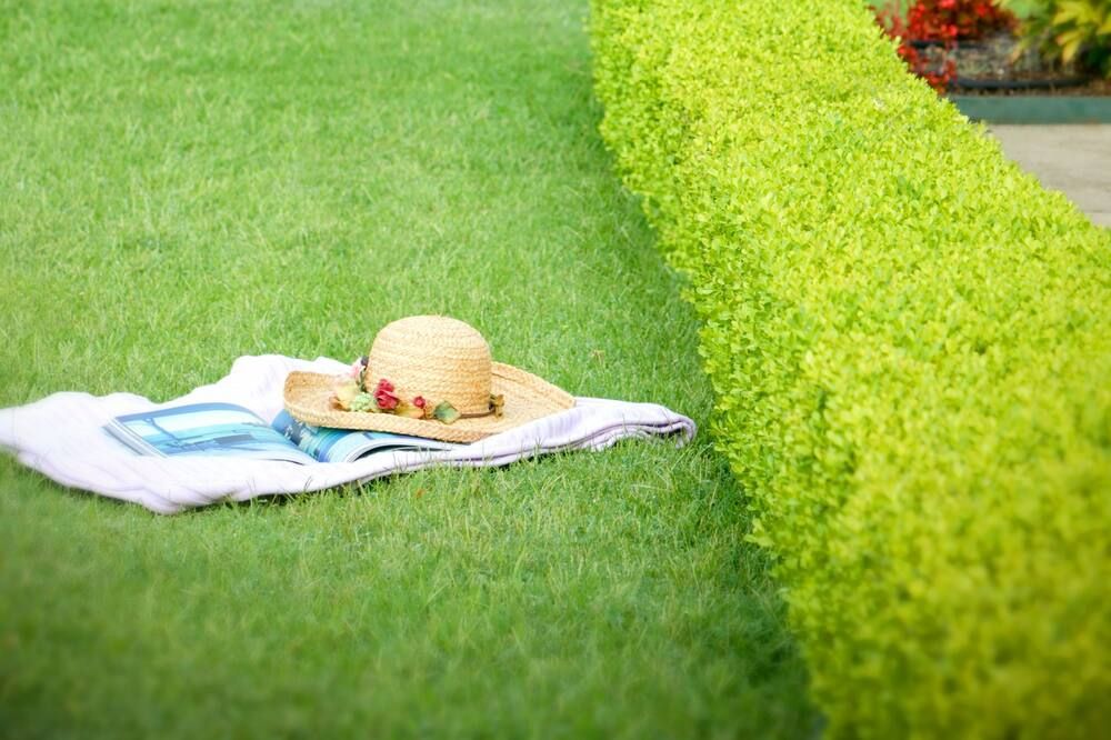 The Empress of Little Rock