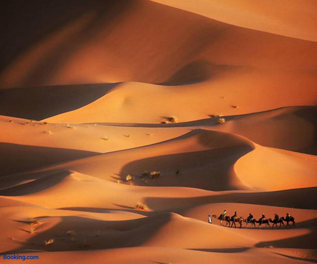 booking-1072059223-464126835-829328 Desert Paradise Luxury Camp