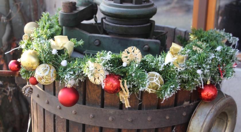 Les 3 Ceps Alsace - Bergholtz visuel 4/5