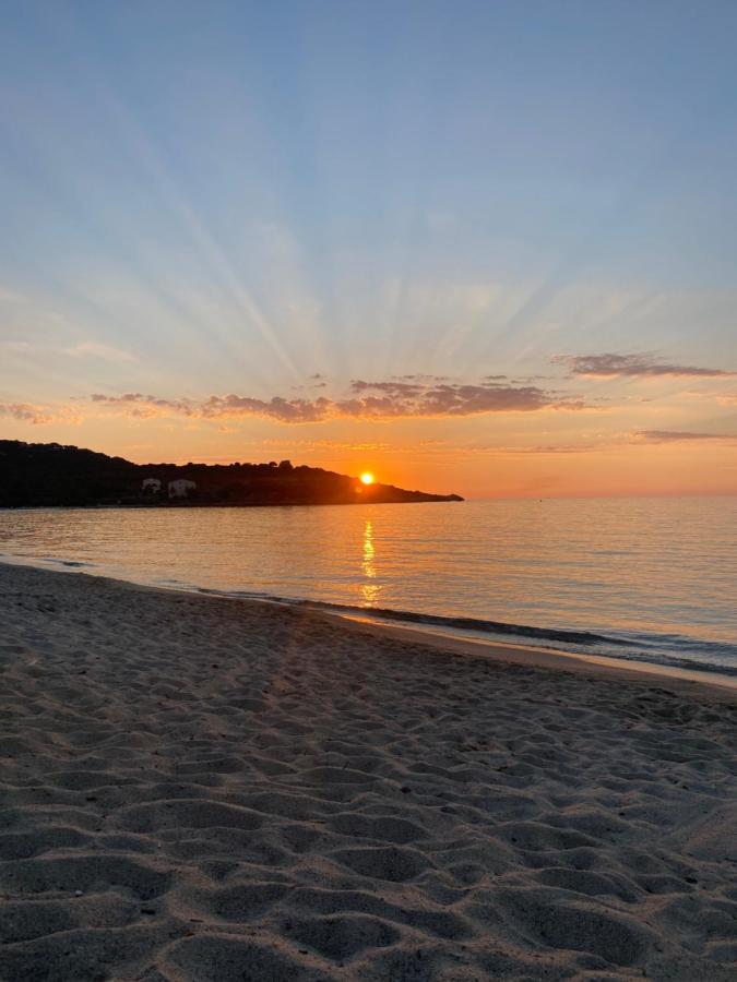 Grande maison à Belgodère Balagne Corsica - Belgodère visuel 2/5