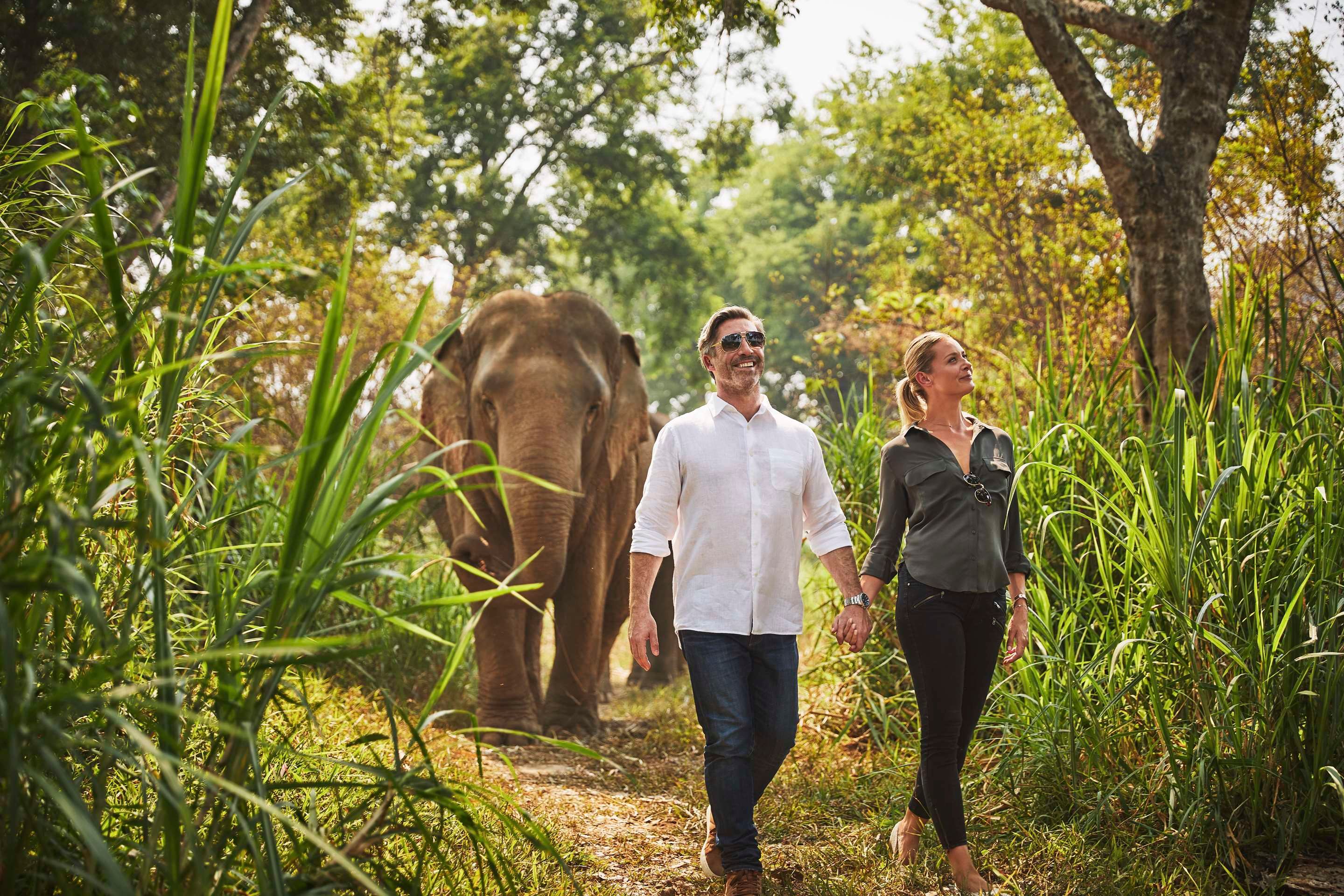 Anantara Golden Triangle Elephant Camp & Resort