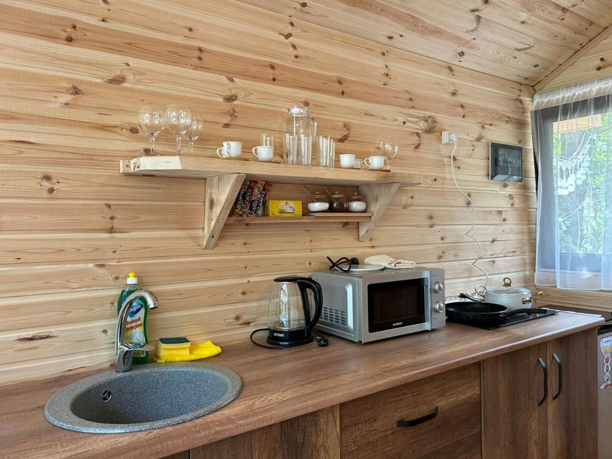 Skydoorცისკარი