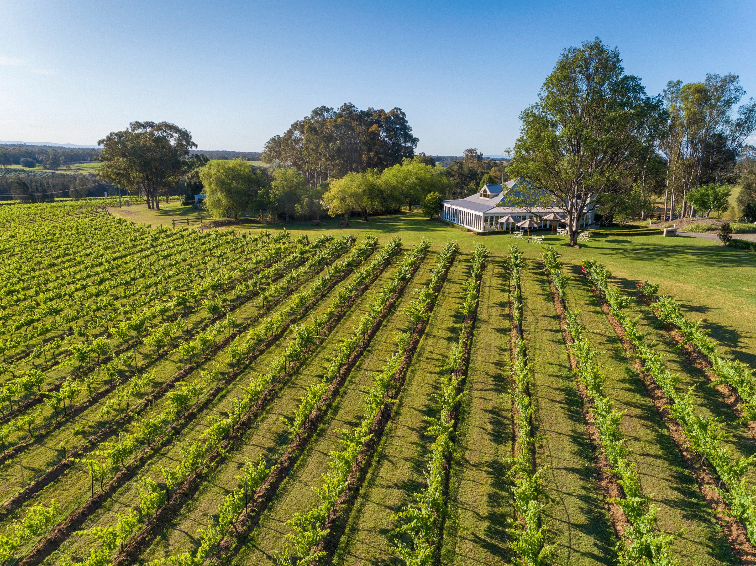Spicers Vineyards Estate
