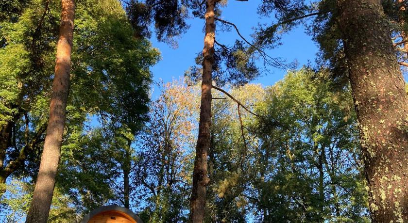 Camping Sérendipité Auvergne - Lavastrie visuel 3/5 Camping Sérendipité Auvergne - Lavastrie visuel 3/5