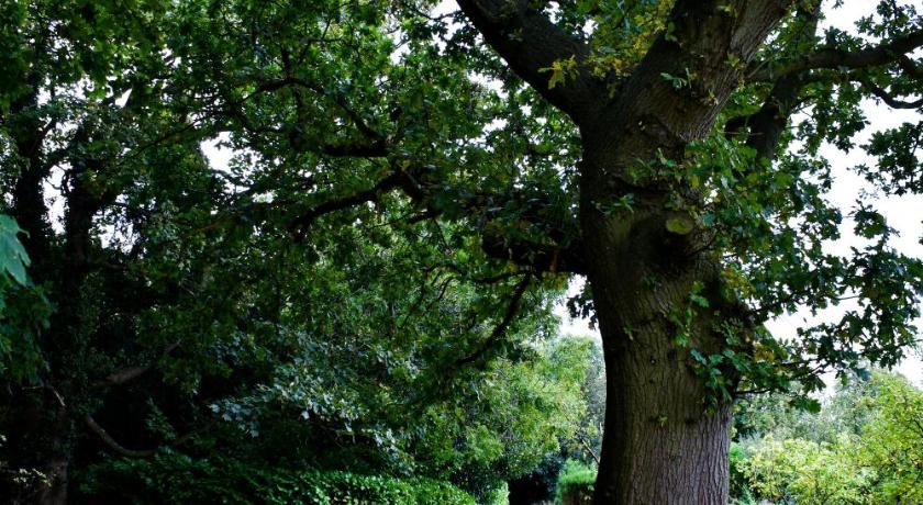 Dovecliff Hall Hotel