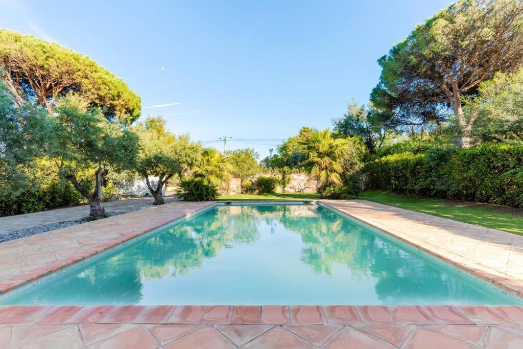 Magnifique Villa avec piscine et hammam Provence-Alpes-Côte d'Azur - Saint-Tropez visuel 1/5 Magnifique Villa avec piscine et hammam Provence-Alpes-Côte d'Azur - Saint-Tropez visuel 1/5