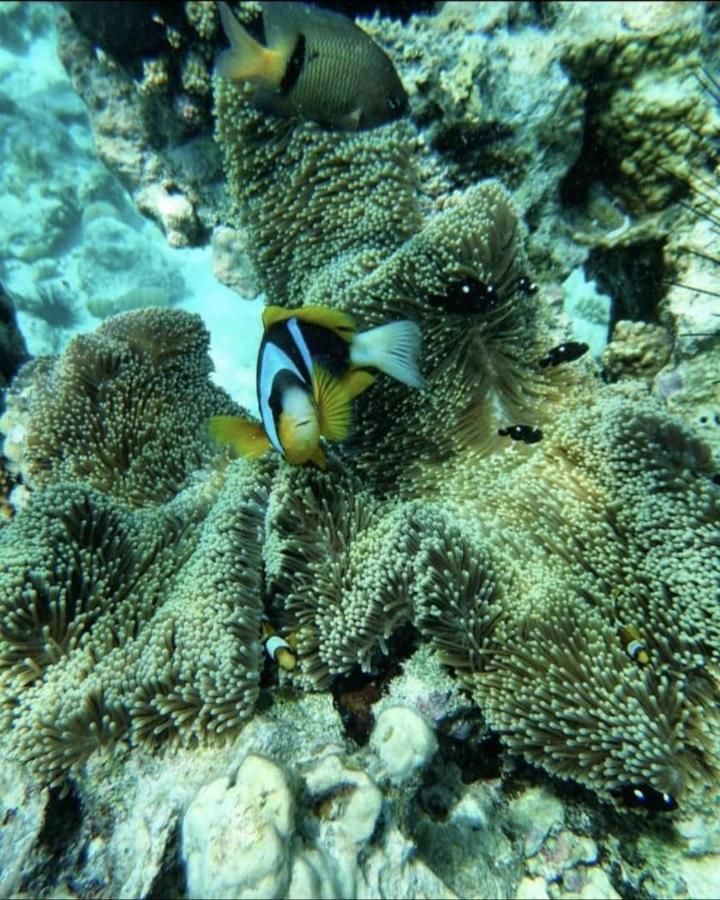 Tiande Boutique Hotel