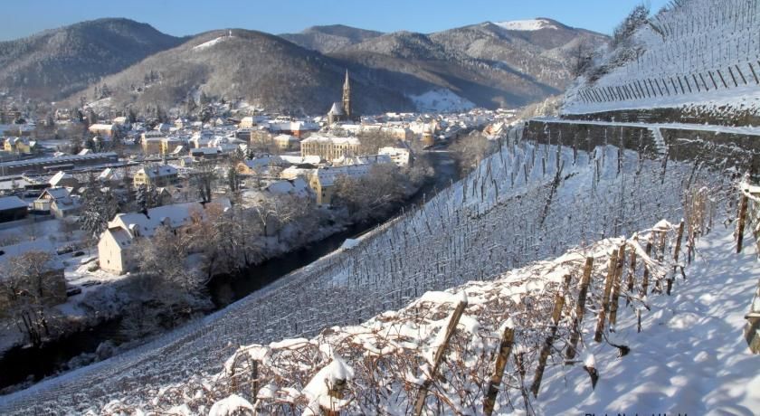 Hôtel du Rangen Alsace - Thann visuel 4/5