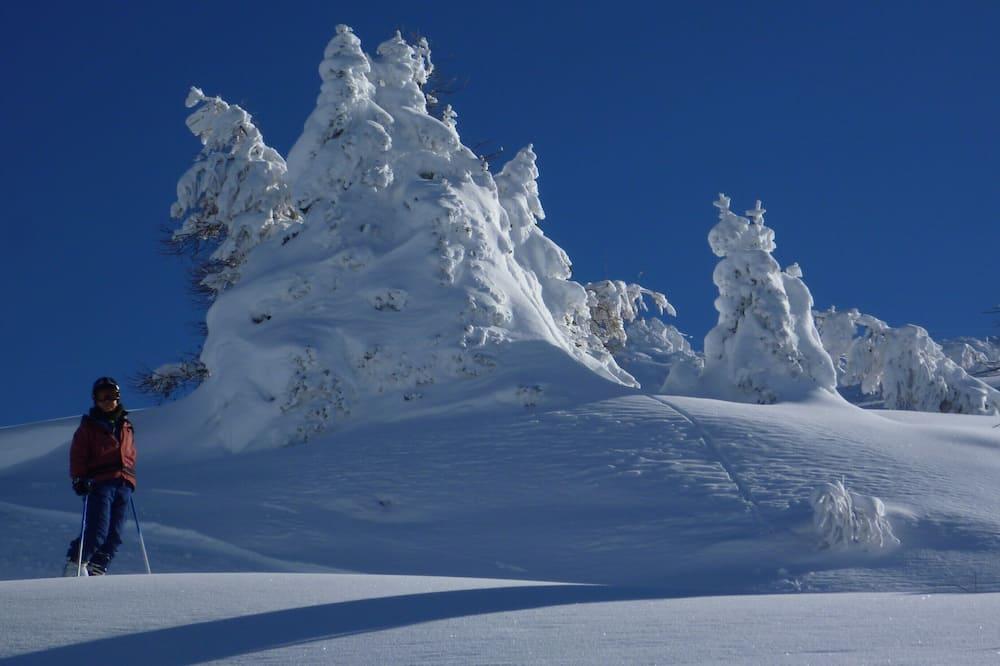 Luxury Chalet 14 16 People With Jacuzzi, Sauna, At Les Arcs Paradiski - Rhône-Alpes - Bourg-Saint-Maurice visuel 5/5