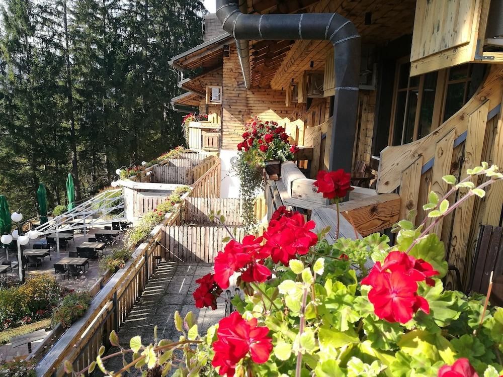 Ribno Alpine Hotel
