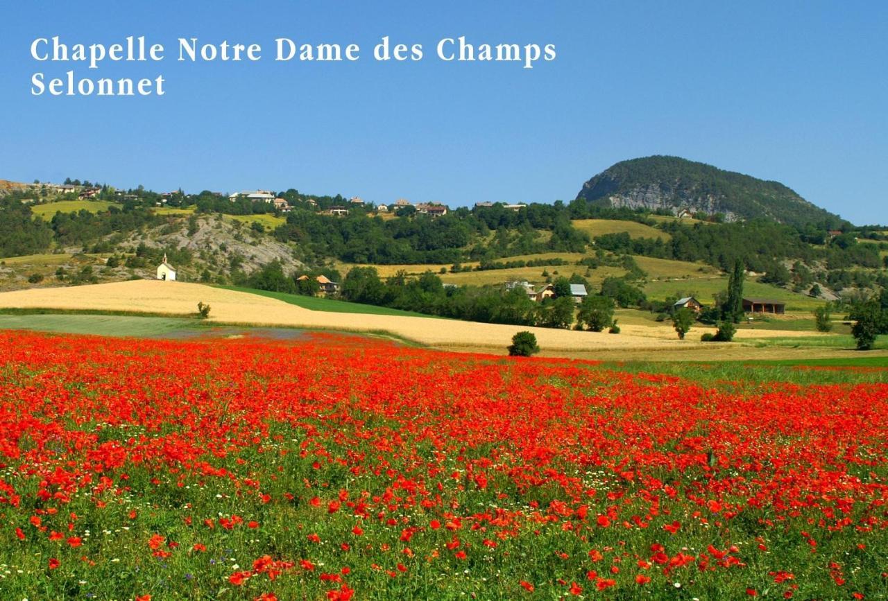 Le Relais de la Forge Provence-Alpes-Côte d'Azur - Selonnet visuel 1/5