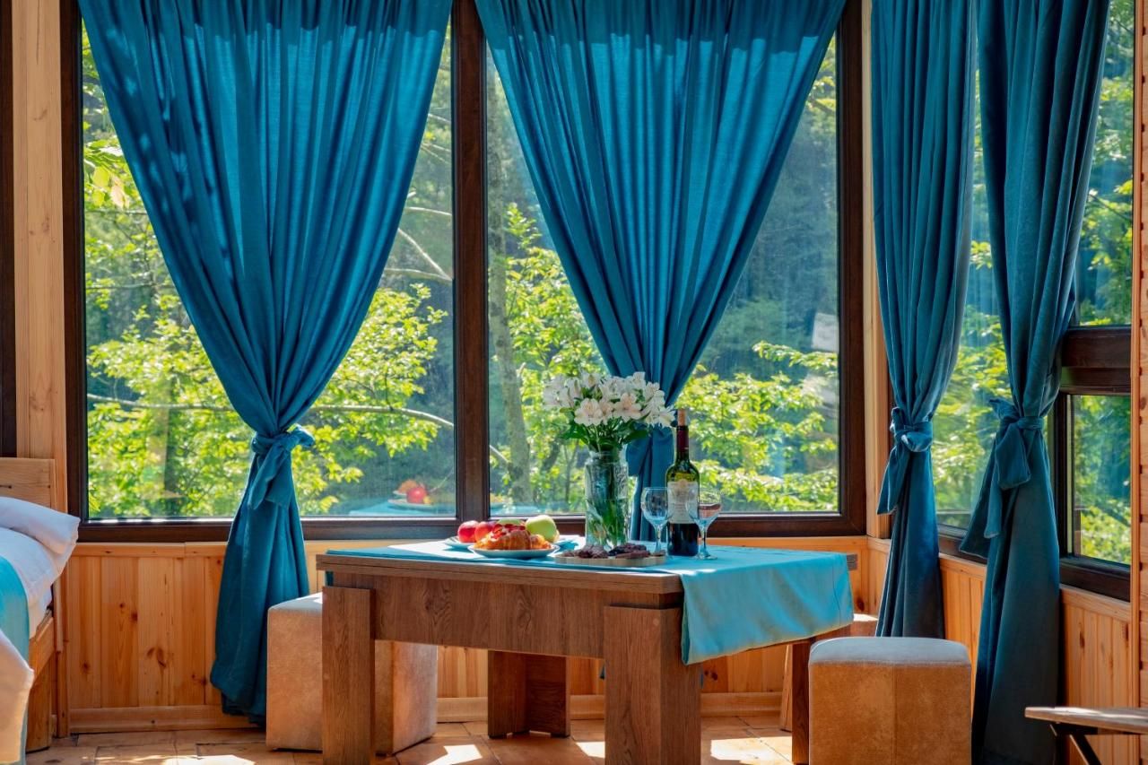 Skydoorცისკარი