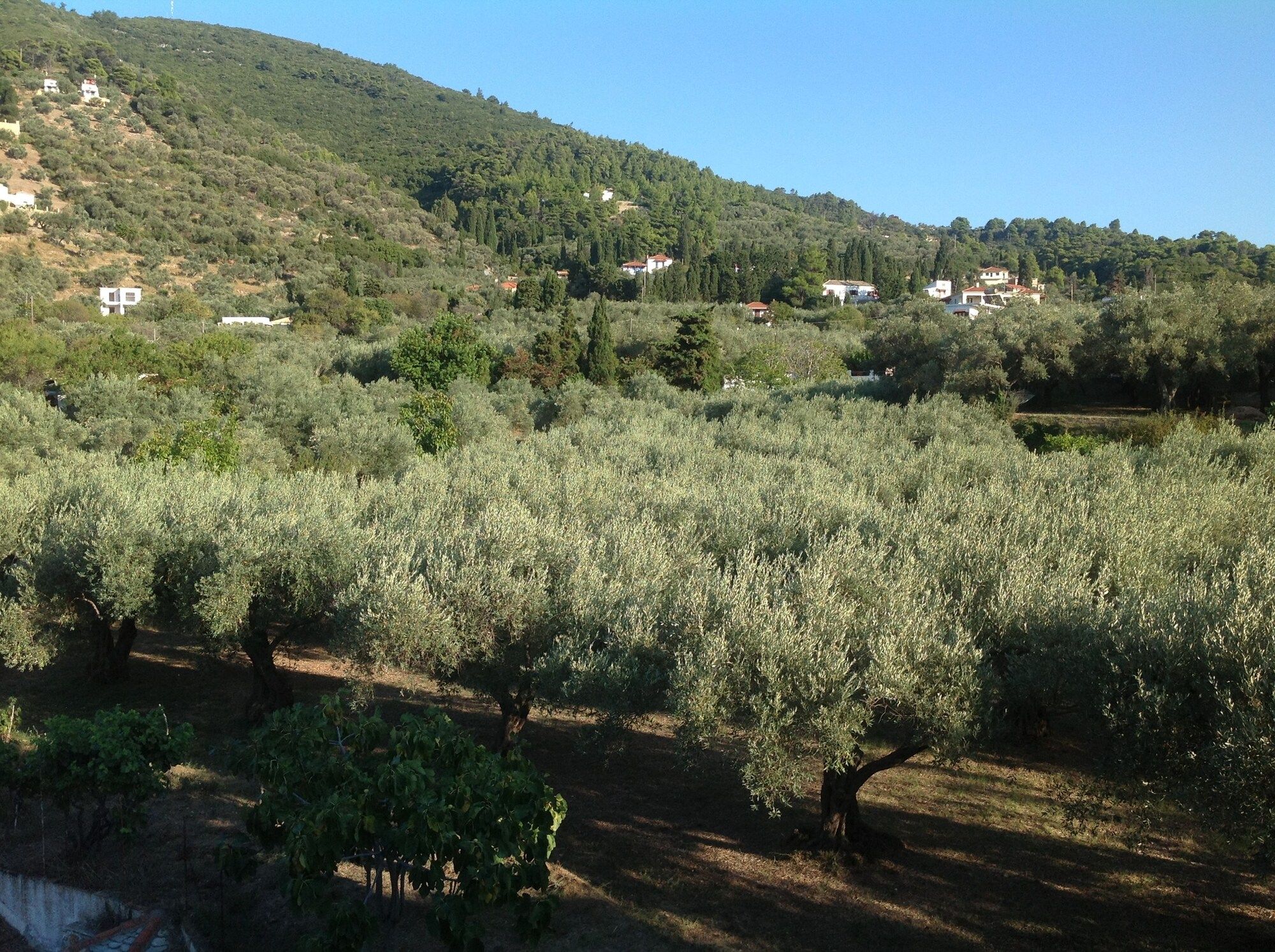 Hotel Prince Stafilos