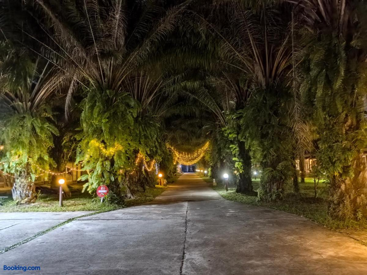 booking-2256125-613882682-102539 Twin Palms Resort