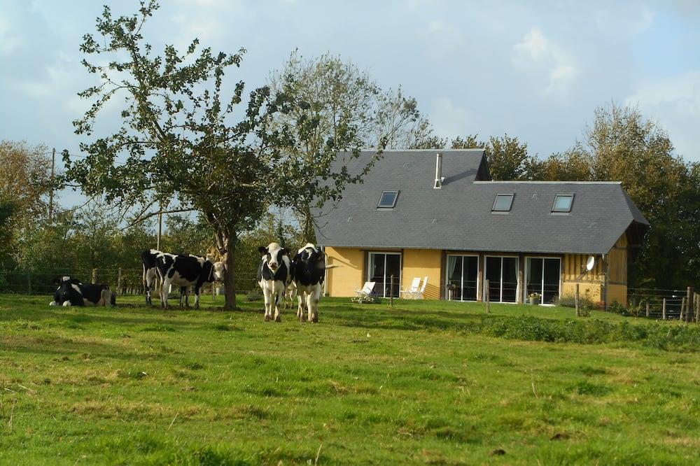 Aunt Agnes' House. Laag-Normandië - De speld visuel 3/10 Aunt Agnes' House. Laag-Normandië - De speld visuel 3/10