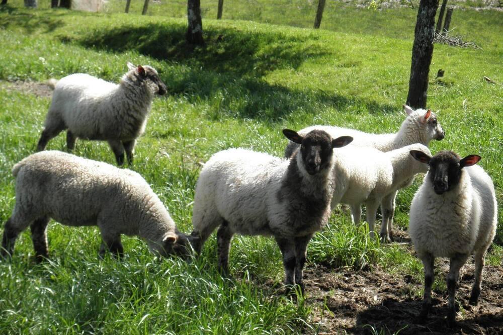 Beynat Gite 3 Epis Tt Confort + Baby Calin Limouqin - Beynat visuel 5/5 Beynat Gite 3 Epis Tt Confort + Baby Calin Limouqin - Beynat visuel 5/5