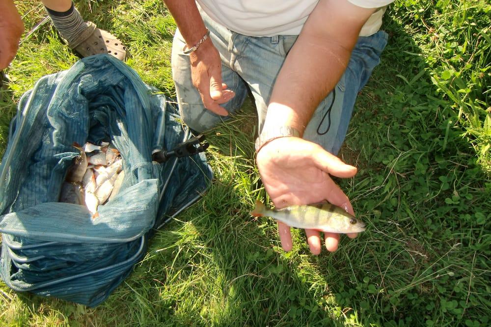 Cantal Chalet Fishing Pond - Wifi - Auvergne - Pers visuel 1/5