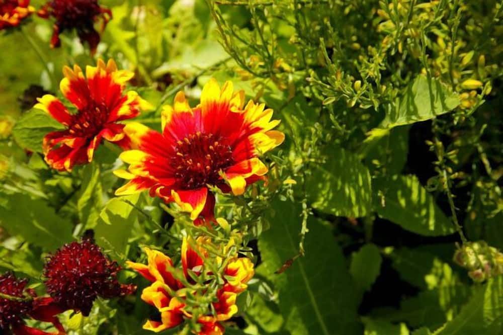 Glendine Country House