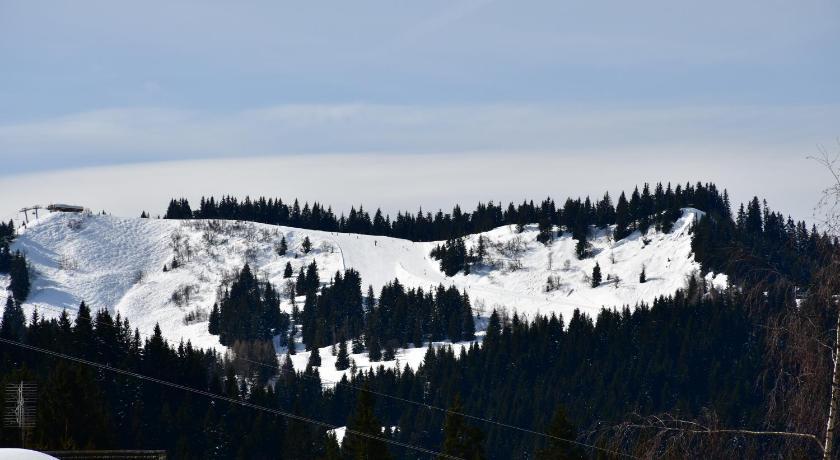 Chalet Orlando Rhône-Alpes - Les Gets visuel 2/5