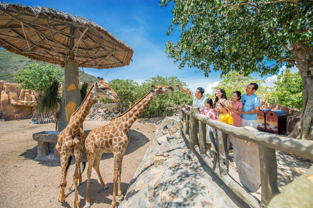 expedia_group-132173-4141674-199136 Vinpearl Resort Nha Trang