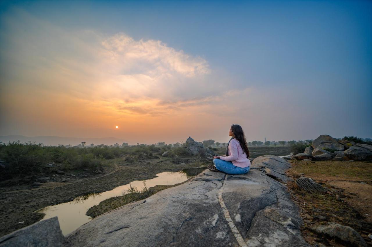 booking-1072273823-637336058-174511 The Beehad Sariska